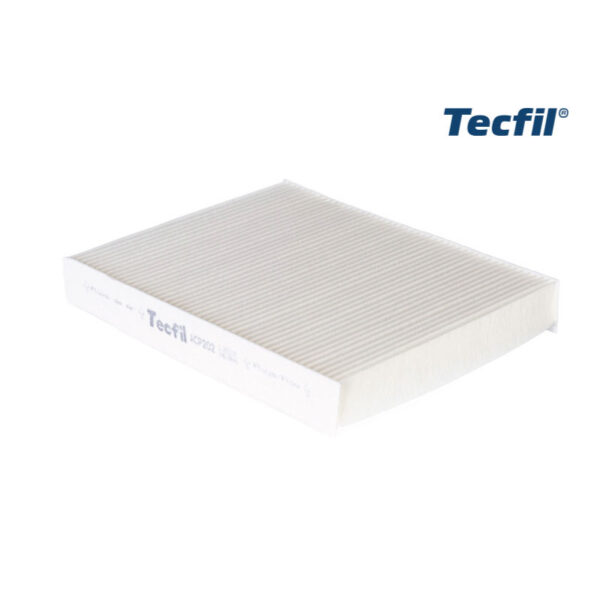 ACP202 (F.ANTI) FORD FISTA MAX, ECO SPORT 2002