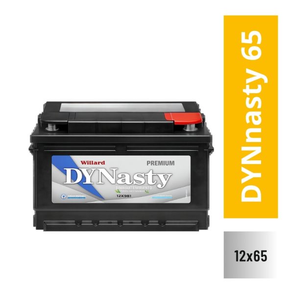 13574_DYNASTY DYN 65 12_65 LARGO 242 ANCHO 175 ALTO 175
